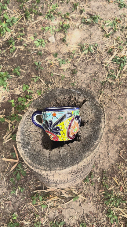 Video of a colorful talavera mug